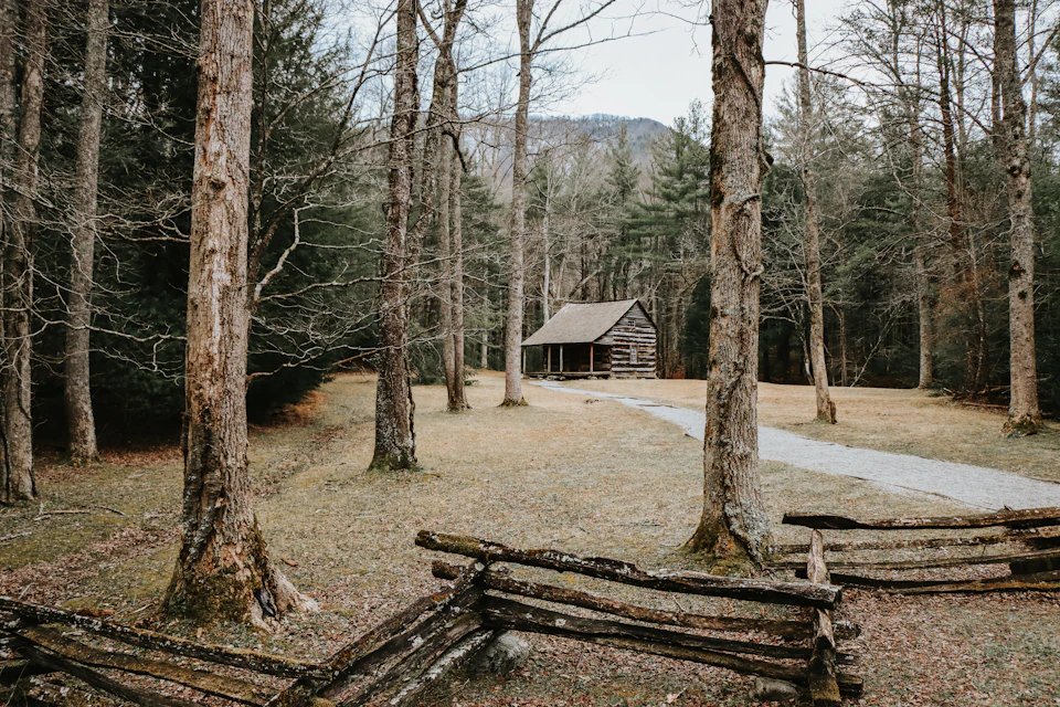 Cabaña de troncos en el bosque con un camino de acceso